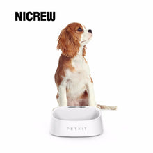 Load image into Gallery viewer, Nicrew Smart Digital Pet Cat Puppy Dog Feeding Bowl Accurate Weighing No-Spill Antibacterial Washable Feeder Antibacteria Bowl